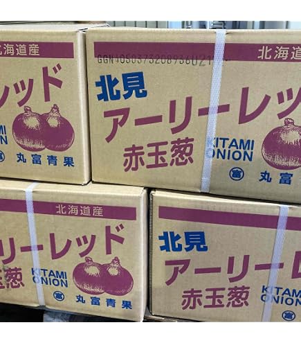 Amazon.co.jp: 北海道産紫玉ねぎ（L～L大）5kg (赤たまねぎ) 【出荷元